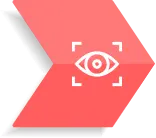 vision